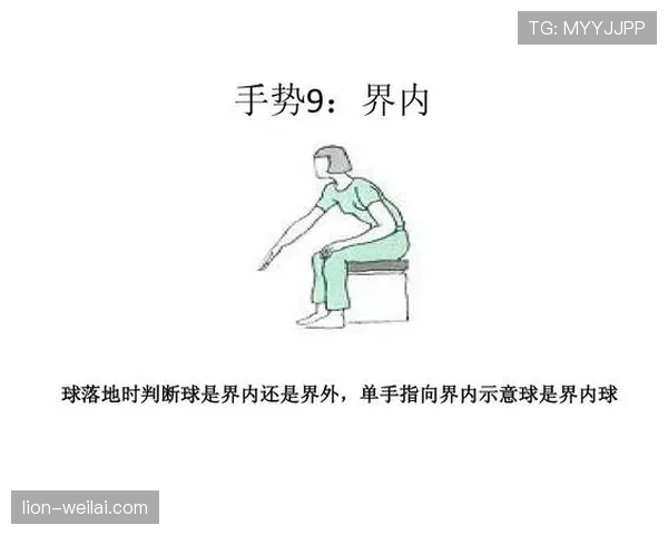 进球判定规则有哪些关键细节常被裁判和VAR忽略？